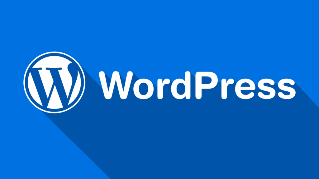 Lees meer over het artikel WordPress Developer